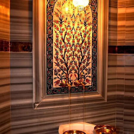 Hotel Cinarpark Korfez